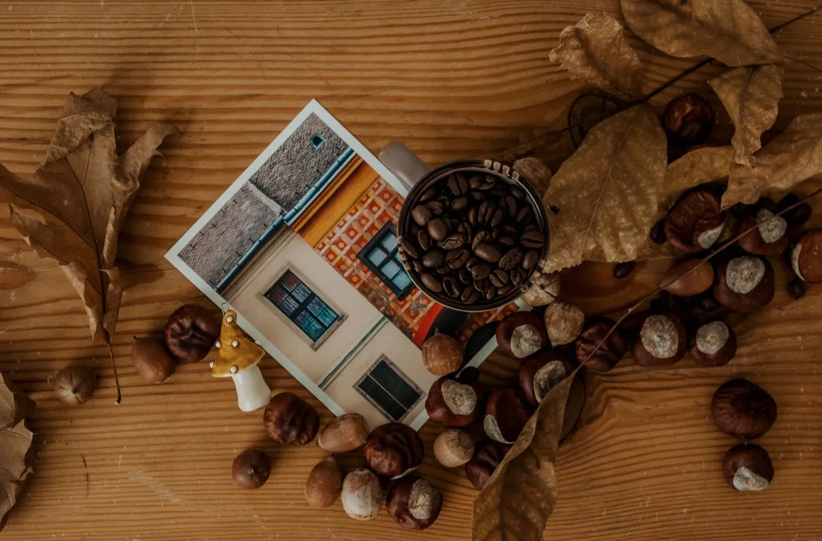 Découvrez 5 idées de bricolage avec des marrons d'Inde qui durent dans le temps. Transformez ces fruits en décorations originales et résistantes !